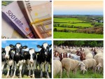 Document! Lista integrală subvenții fermieri, crescători animale din Programul Guvernului Ciolacu!