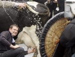 Crescătorii români scot vacile în stradă: Suntem forțați să punem lacătul pe ferme!