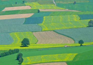 Ungaria: Vânzarea terenului agricol către străini se va pedepsi cu închisoarea