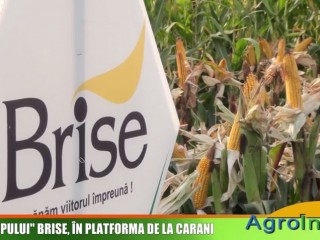 Ziua Campului BRISE, in platforma de la Carani