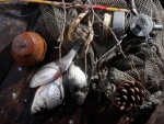 Permisele de pescuit în Deltă, valabile până la începerea prohibiţiei din 2016