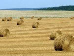 Cum se împart 1,6 miliarde de euro fermierilor români?