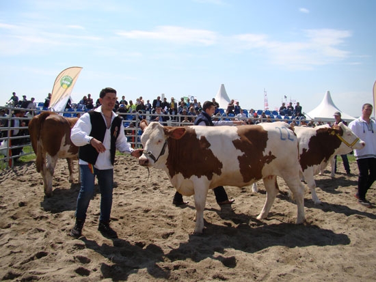 AGRARIA-2016-BOVINE_b