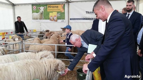 agraria-2019-daea-9_b