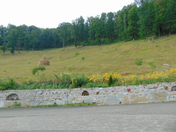 agromediu_b