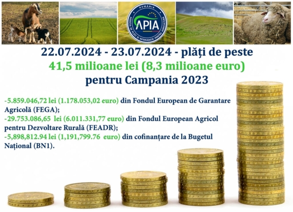 apia 22 iul_b