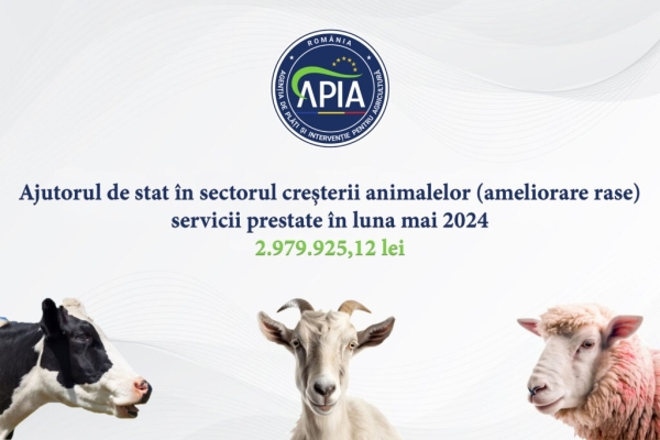 apia 29 iul animal_b
