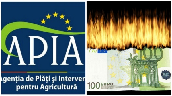 apia-colaj-seceta_b