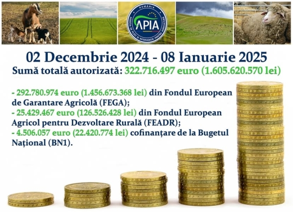 apia ianuarie 2025_b