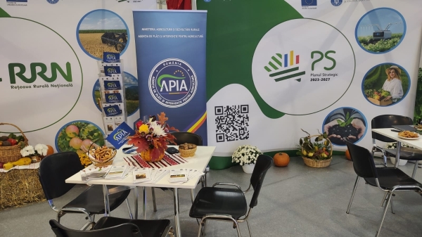 apia indagra 2024_b