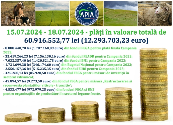 apia plata iulia_b