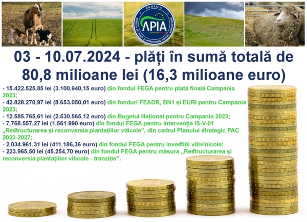 apia plati iuli_b