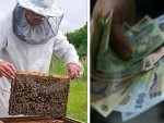 Strigător la cer pentru apicultorii români!