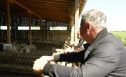 Video! Un tânăr oier i-a prezentat ministrului Barbu ferma sa de oi și vaci!