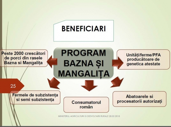 beneficiari-purcei_b beneficiari-purcei_b