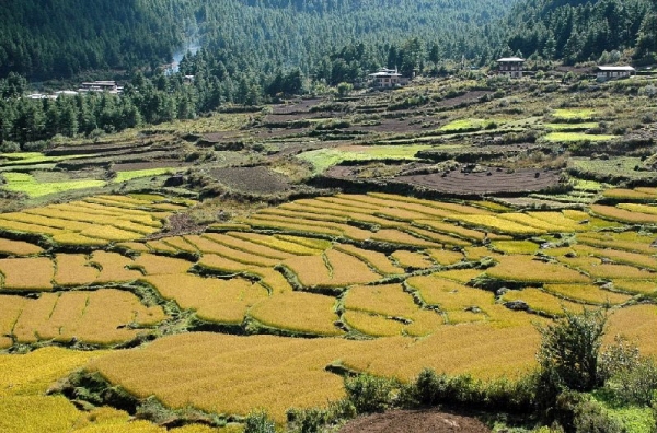 Bhutan_b