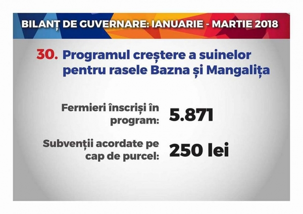 bilant-bazna-mangalita_b bilant-bazna-mangalita_b