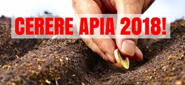 camp-apia-2018_b