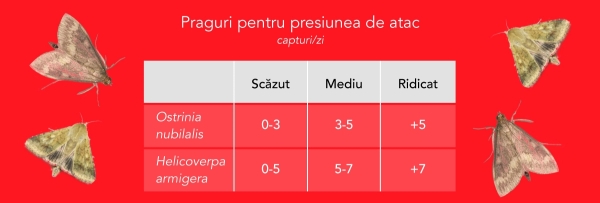 Capturi medii zilnice Helicoverpa armigera Ã®n perioada 2 - 9 iulie 2024 Ã®n zonele de monitorizare 1_b
