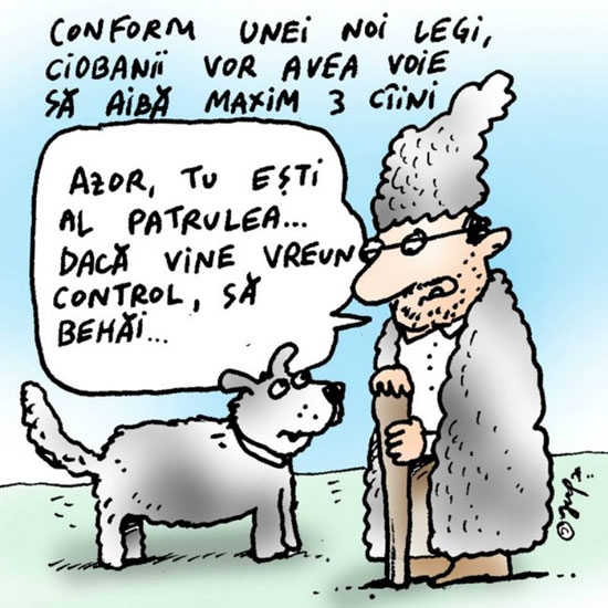 caricatura-ziarul-de-iasi_b