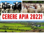APIA anunță: Condiții obligatorii pentru subvențiile APIA din acest an!