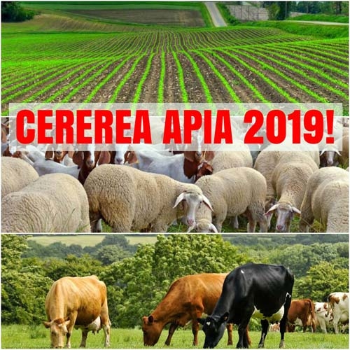cererea-apia-2019_b