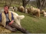 Tânăr cioban: Să mergi cu oile, aia e liniște sufletească, Raiul tău ca pe o apă lină!
