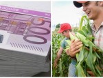 Tinerii fermieri care au prioritate la banii europeni!