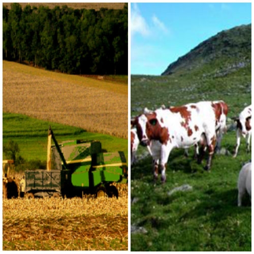 colaj-registru-agricol_b colaj-registru-agricol_b