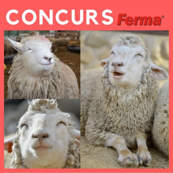 concurs-oi_b