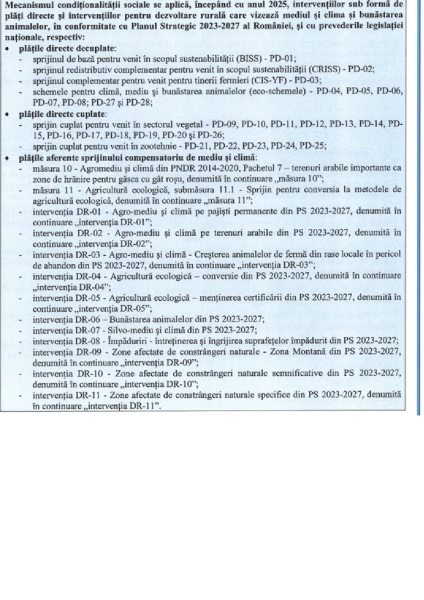 conditionalitate_b
