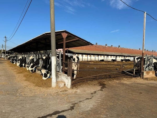 congres farm trei_b