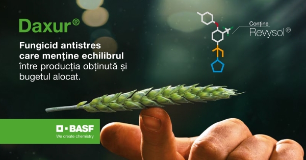 Daxur basf_b
