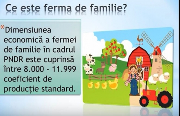 dimensiune-ferma_b