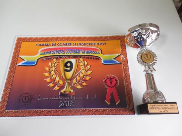 diploma-cooperativa_b