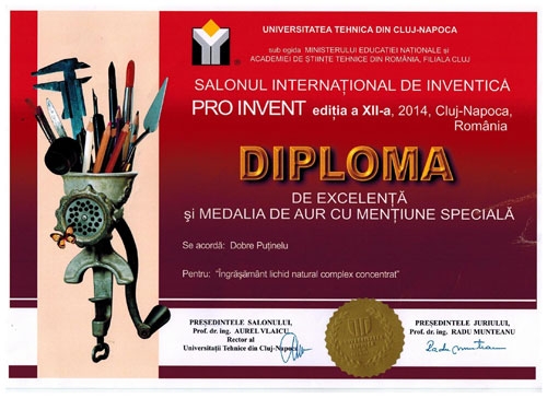 diploma-putinelu_b