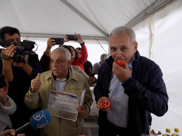 dragnea-daea-rosii_b