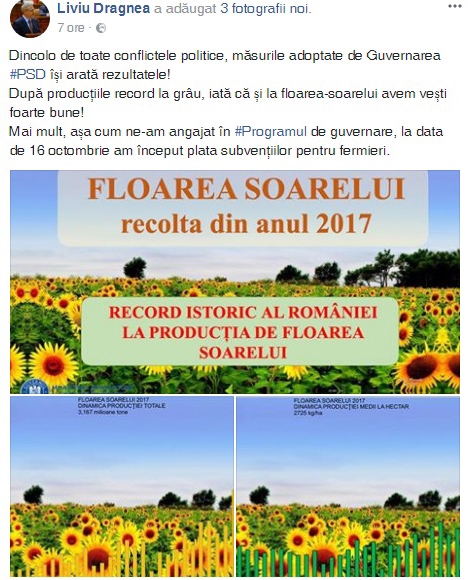 dragnea-floare-2017_b dragnea-floare-2017_b