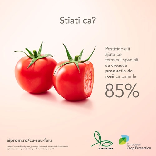 ECPA_WOW_Tomato_RO_b