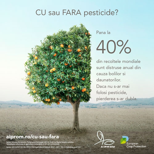 ECPA_WOW_Tree-Cut_b
