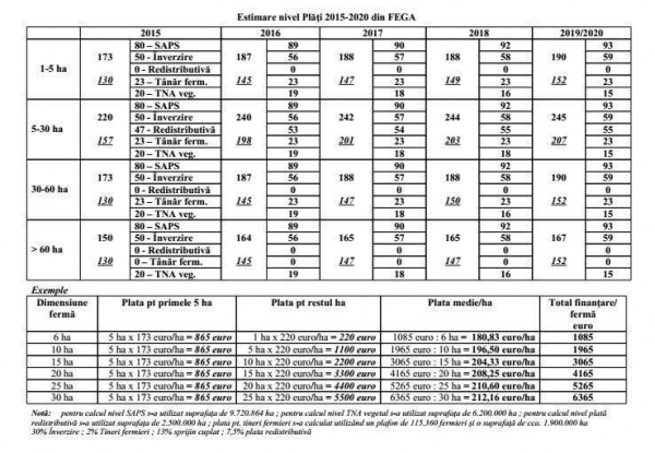 estimare-tabel_b