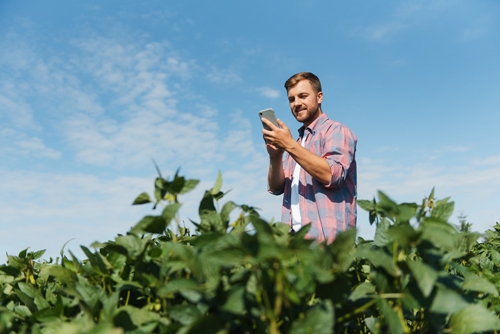 Farmer with mobile phone in the field_b