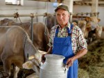 APIA: Acte ANT ajutor național tranzitoriu vaci lapte!