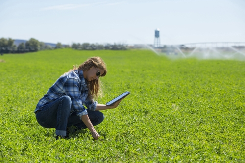 Field_Digital Agriculture Solutions_Corteva Agriscience 2_b Field_Digital Agriculture Solutions_Corteva Agriscience 2_b