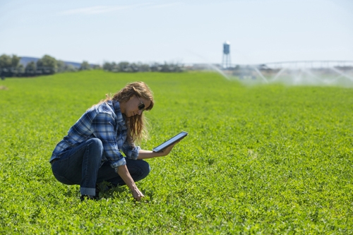 Field_Digital Agriculture Solutions_Corteva Agriscience_b