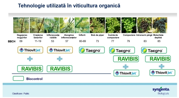 Grafic 2 syngenta_b