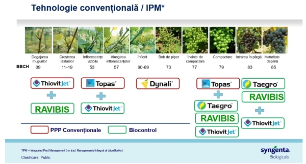 Grafic 3 syngenta_b