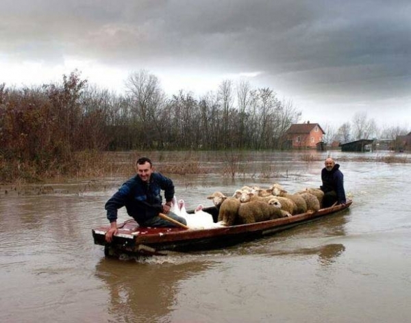 inundatii_Serbia_b