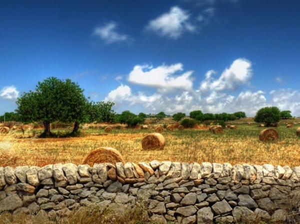 italia_b