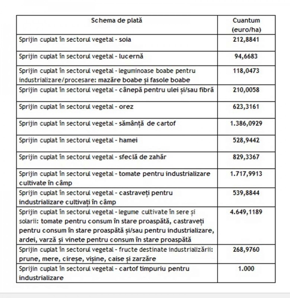 lista-scv-2020_b